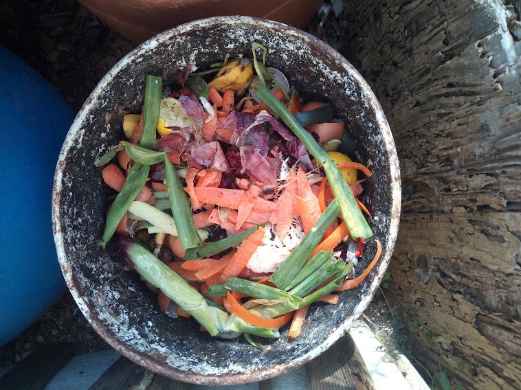 Restos orgânicos da cozinha